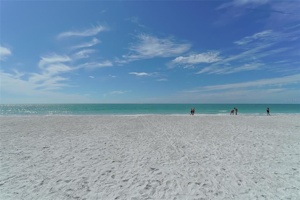 出租: $12,000 (2 贝兹, 2 浴室, 1456 平方英尺)