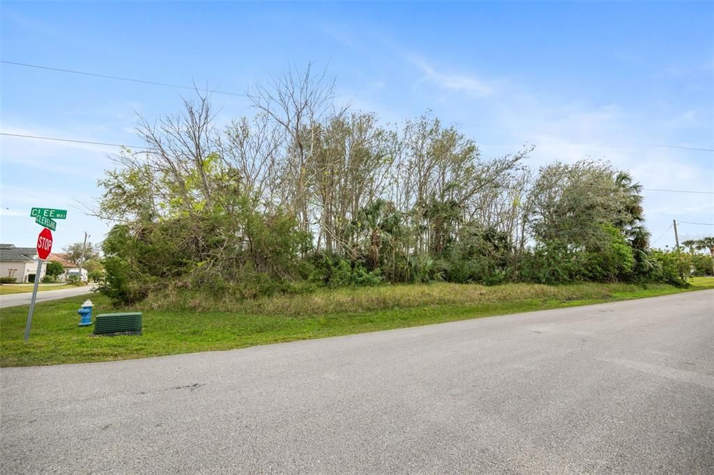 待售: $175,000 (0.36 acres)