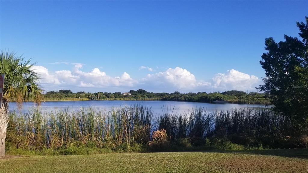 For Sale: $22,900 (0.23 acres)