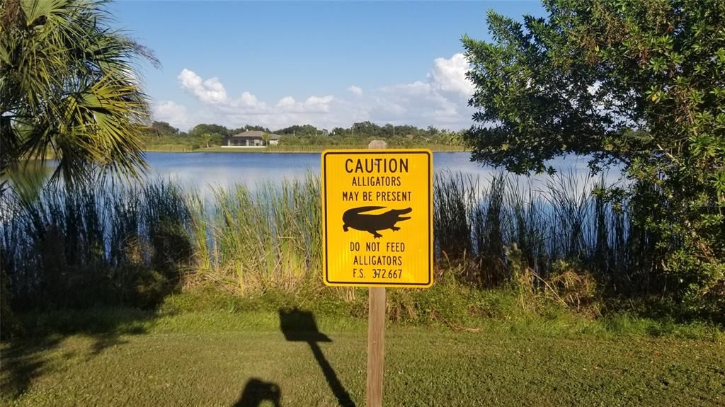 For Sale: $22,900 (0.23 acres)