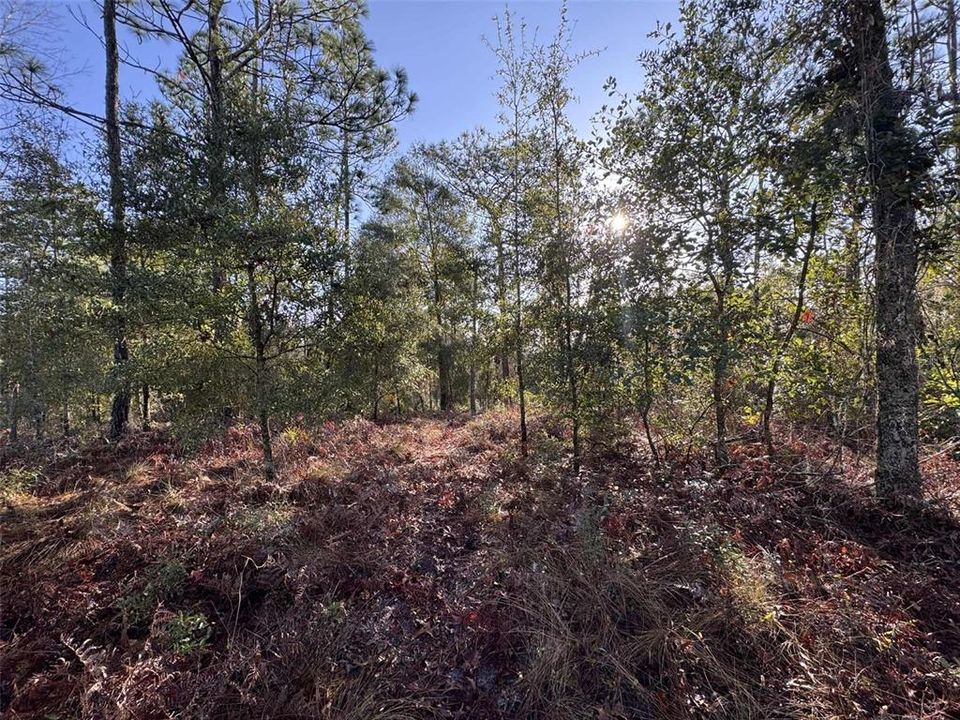 En Venta: $65,000 (4.00 acres)