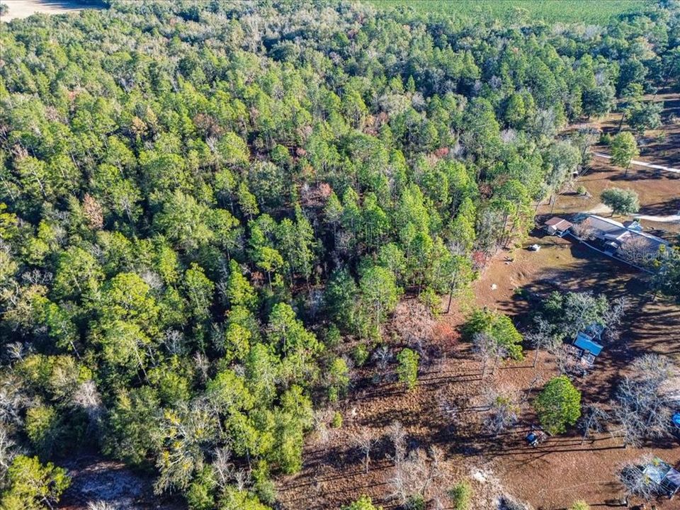 En Venta: $65,000 (4.00 acres)