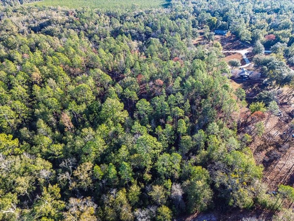 En Venta: $65,000 (4.00 acres)