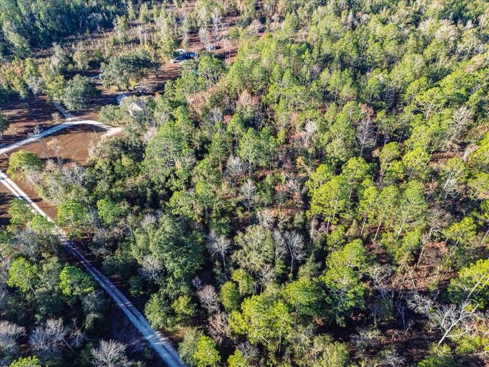 En Venta: $65,000 (4.00 acres)