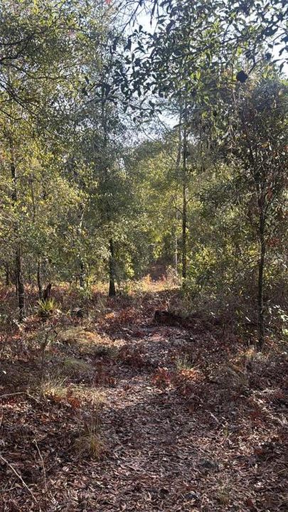 En Venta: $65,000 (4.00 acres)