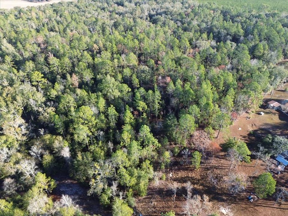 En Venta: $65,000 (4.00 acres)