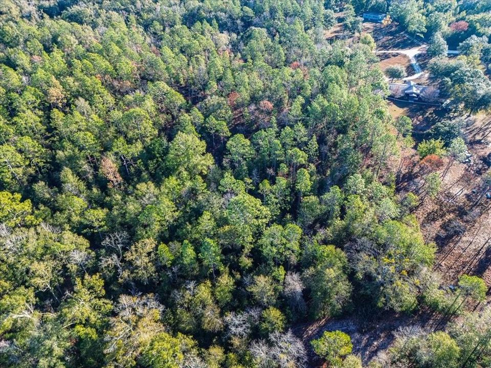 En Venta: $65,000 (4.00 acres)