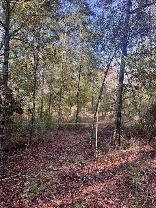 En Venta: $65,000 (4.00 acres)