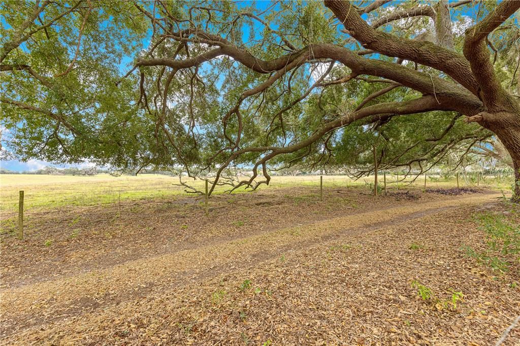 For Sale: $534,900 (3 beds, 3 baths, 2026 Square Feet)