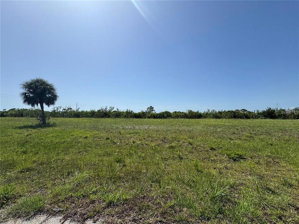 For Sale: $19,000 (0.19 acres)