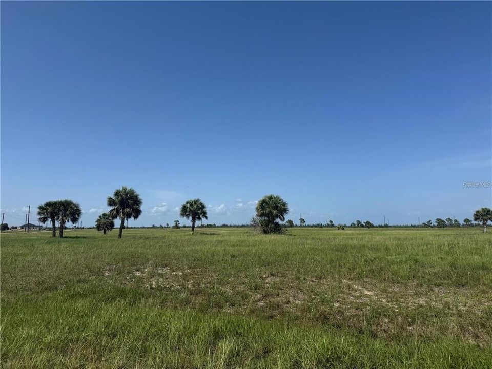 For Sale: $18,000 (0.20 acres)