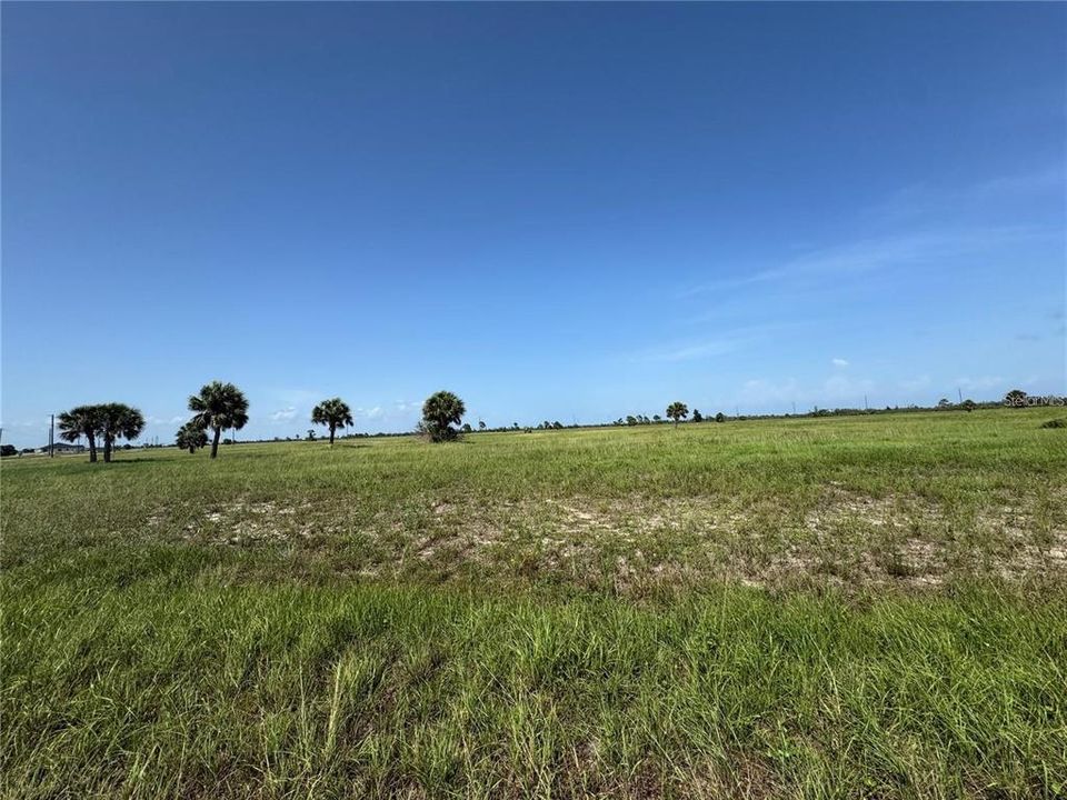 For Sale: $18,000 (0.20 acres)