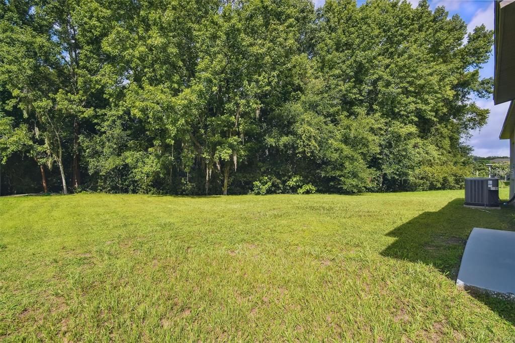 出租: $2,600 (4 贝兹, 2 浴室, 1971 平方英尺)