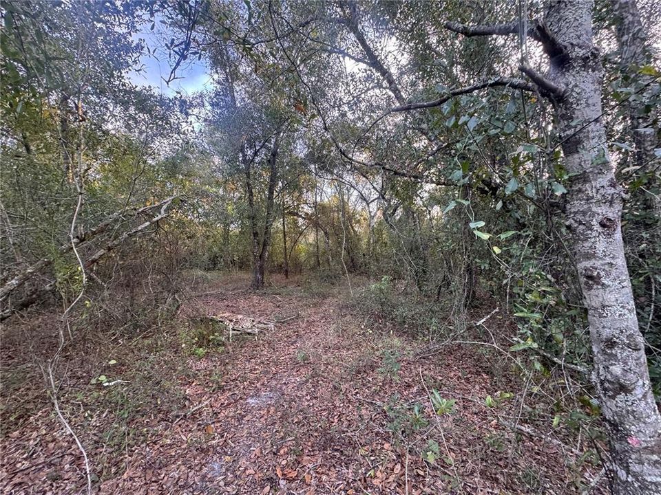 For Sale: $148,900 (6.19 acres)