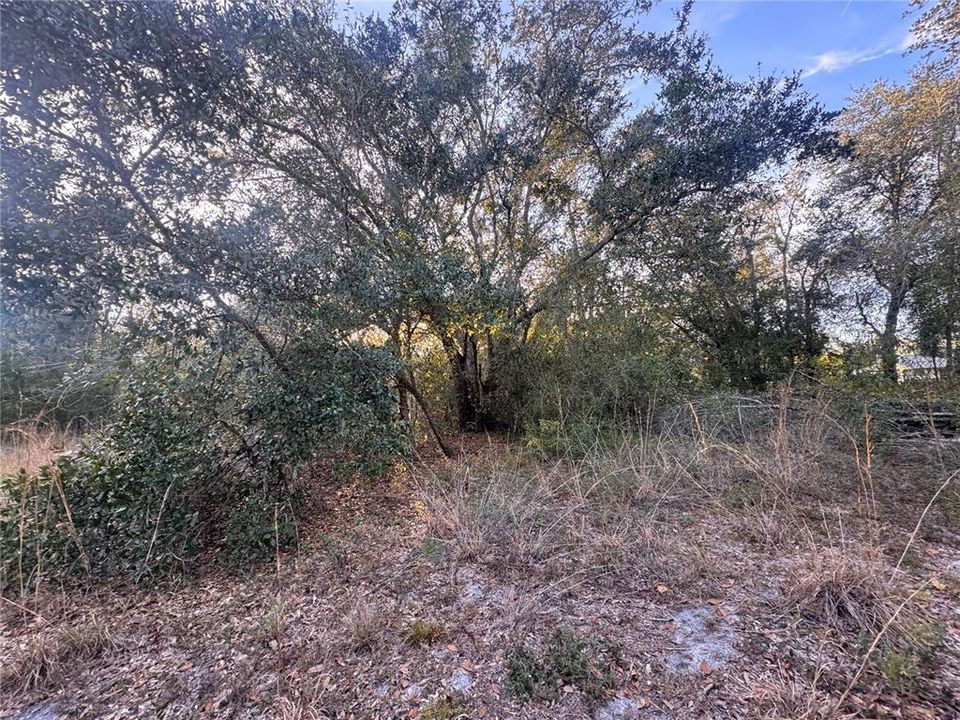 For Sale: $148,900 (6.19 acres)