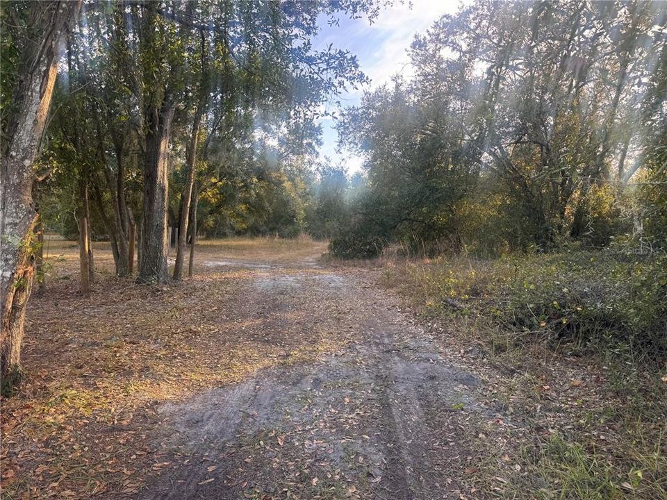 For Sale: $148,900 (6.19 acres)