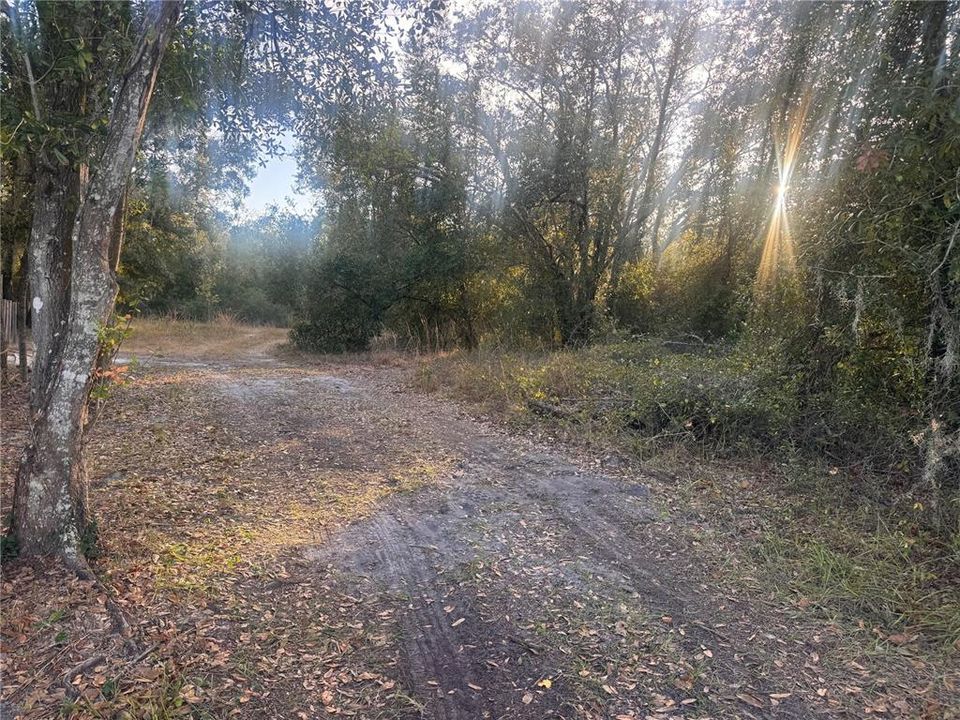 For Sale: $148,900 (6.19 acres)