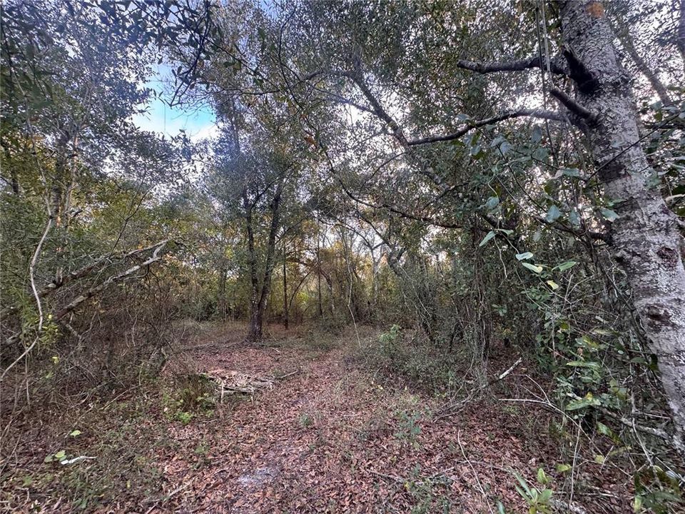 For Sale: $148,900 (6.19 acres)