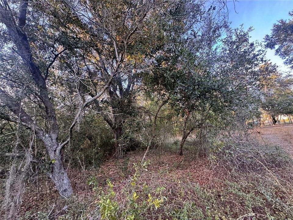 For Sale: $148,900 (6.19 acres)