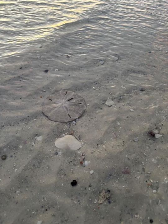 For Sale: $449,999 (3 beds, 2 baths, 1197 Square Feet)