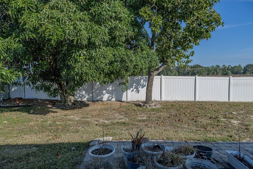 En Venta: $299,900 (4 camas, 2 baños, 1742 Pies cuadrados)