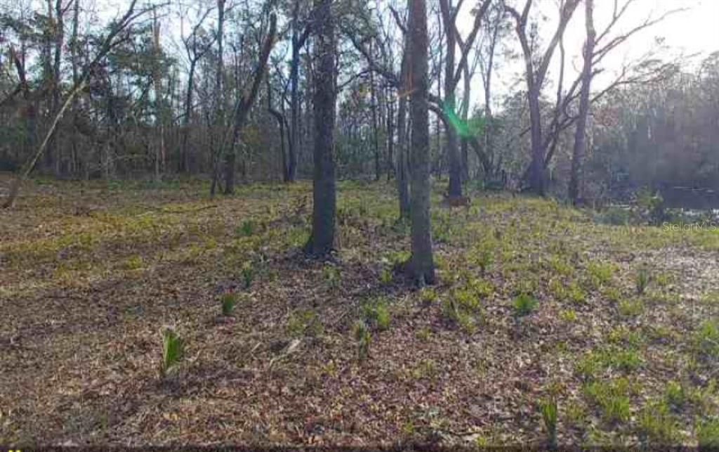 待售: $149,767 (0.96 acres)