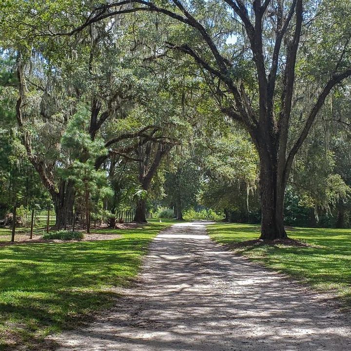 For Sale: $1,050,000 (39.96 acres)