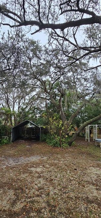 For Sale: $55,000 (0.28 acres)