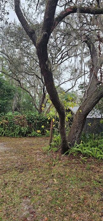 For Sale: $55,000 (0.28 acres)