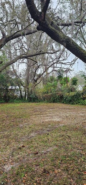 For Sale: $55,000 (0.28 acres)