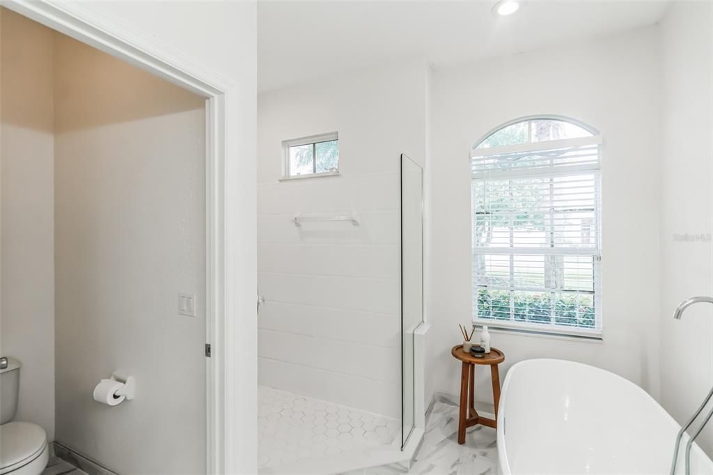 出租: $3,000 (3 贝兹, 2 浴室, 1672 平方英尺)