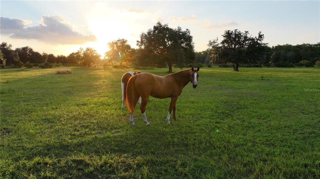 待售: $875,000 (30.00 acres)