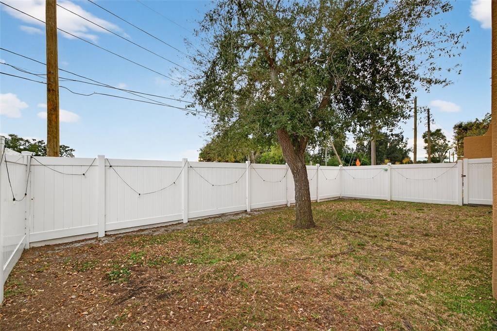 For Rent: $2,900 (3 beds, 2 baths, 1685 Square Feet)