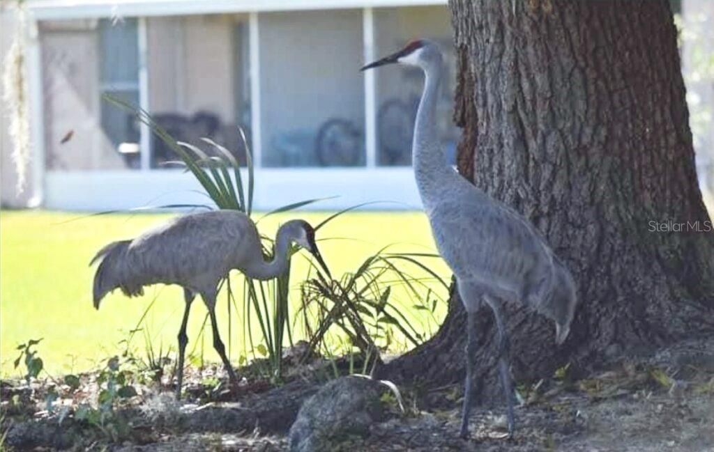 待售: $109,000 (2 贝兹, 1 浴室, 648 平方英尺)
