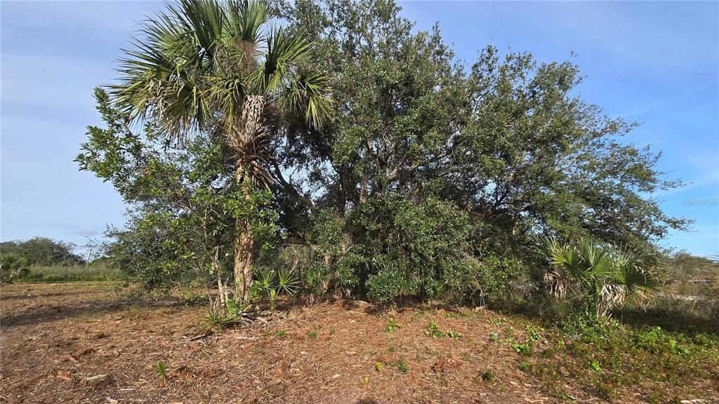 На продажу: $49,999 (1.25 acres)