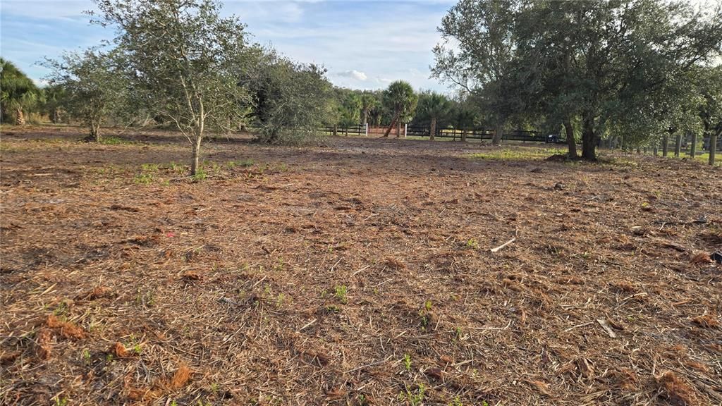 На продажу: $49,999 (1.25 acres)