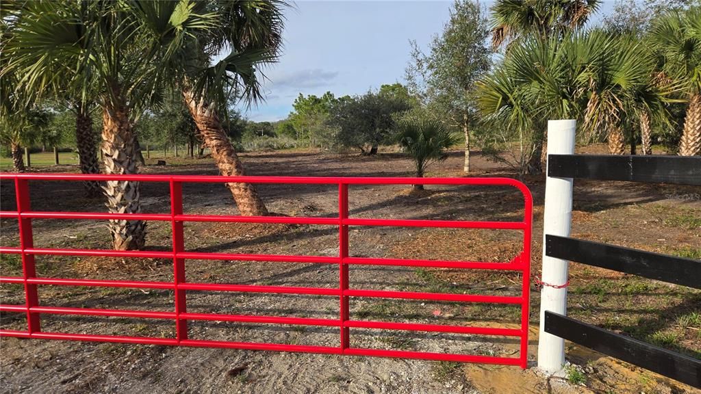 На продажу: $49,999 (1.25 acres)