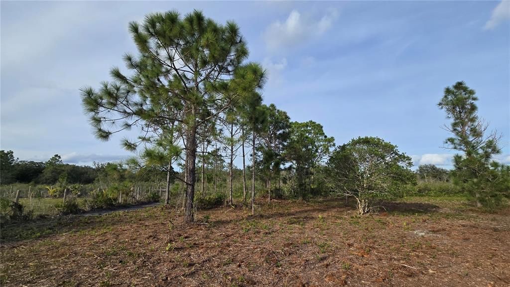 На продажу: $49,999 (1.25 acres)