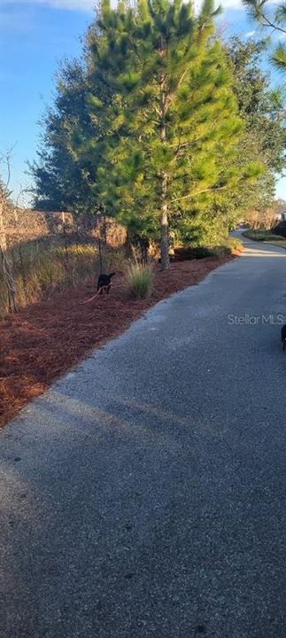 En Venta: $422,000 (2 camas, 2 baños, 1975 Pies cuadrados)