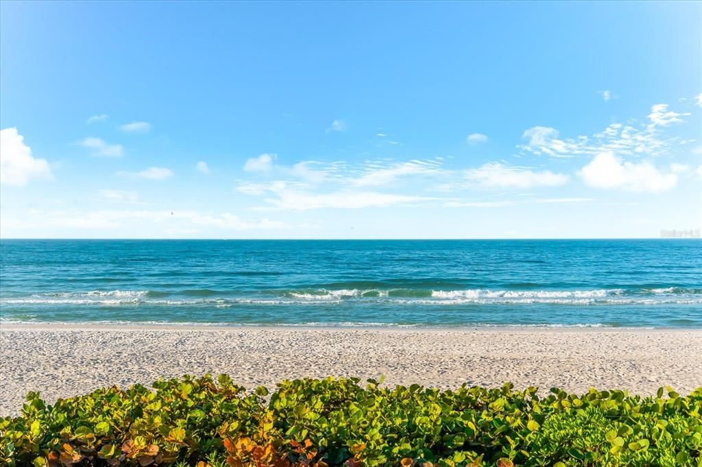 待售: $799,000 (1 贝兹, 2 浴室, 986 平方英尺)