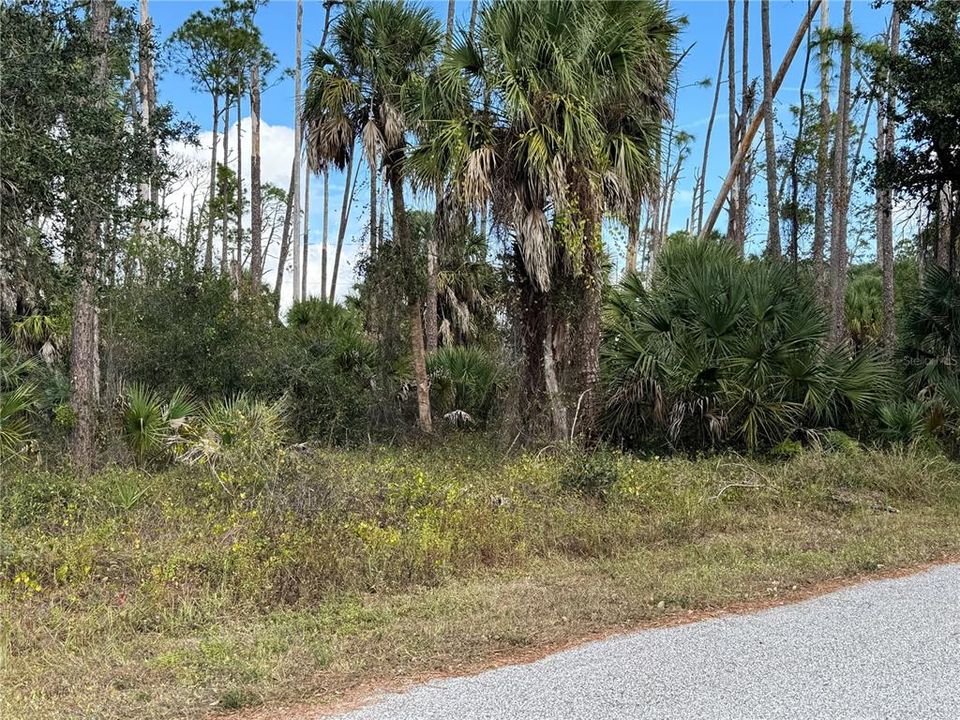 For Sale: $23,000 (0.23 acres)