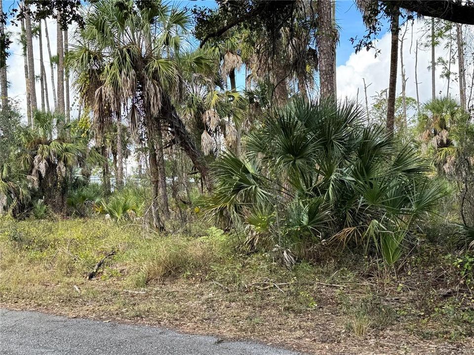 For Sale: $23,000 (0.23 acres)