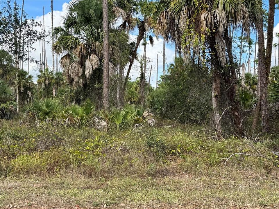 For Sale: $23,000 (0.23 acres)