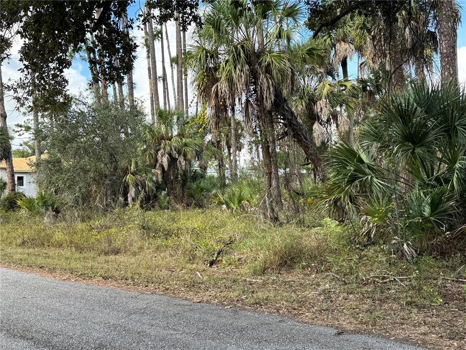 For Sale: $23,000 (0.23 acres)