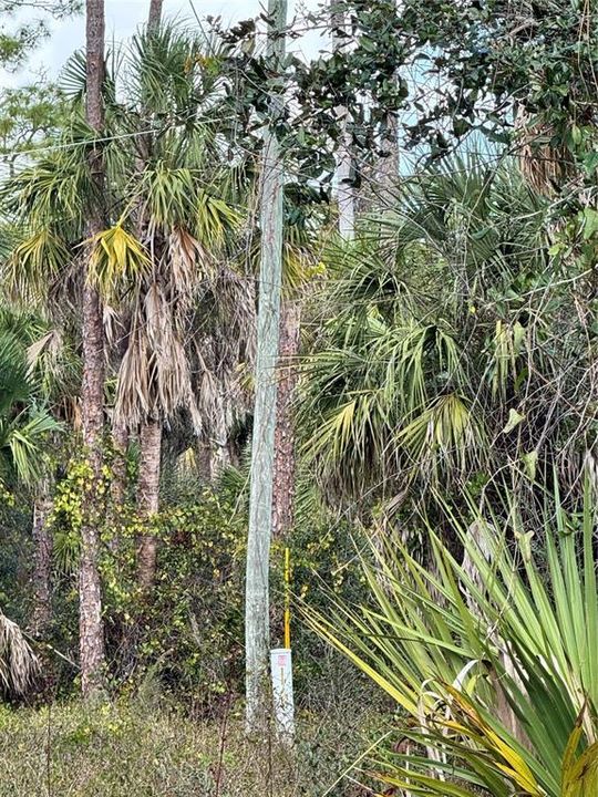 For Sale: $23,000 (0.23 acres)