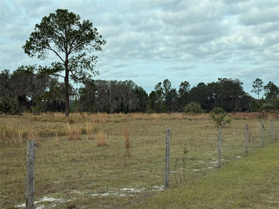 For Sale: $1,250,000 (3 beds, 2 baths, 1404 Square Feet)