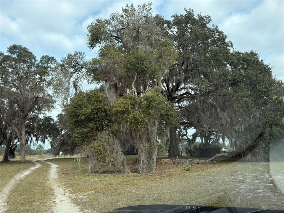 For Sale: $1,250,000 (3 beds, 2 baths, 1404 Square Feet)