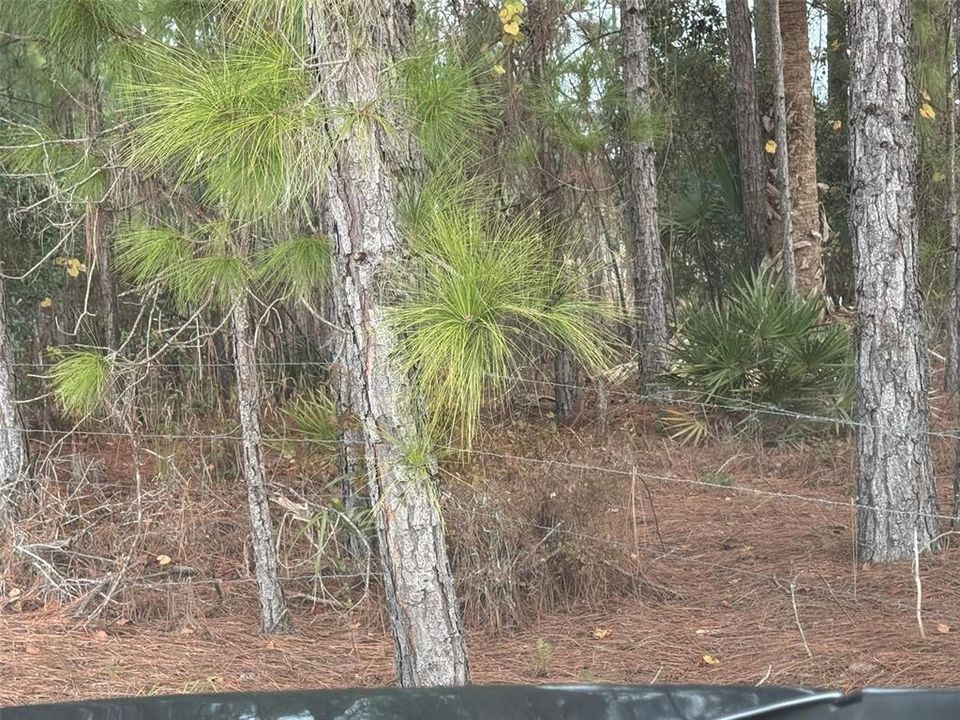 For Sale: $1,250,000 (3 beds, 2 baths, 1404 Square Feet)