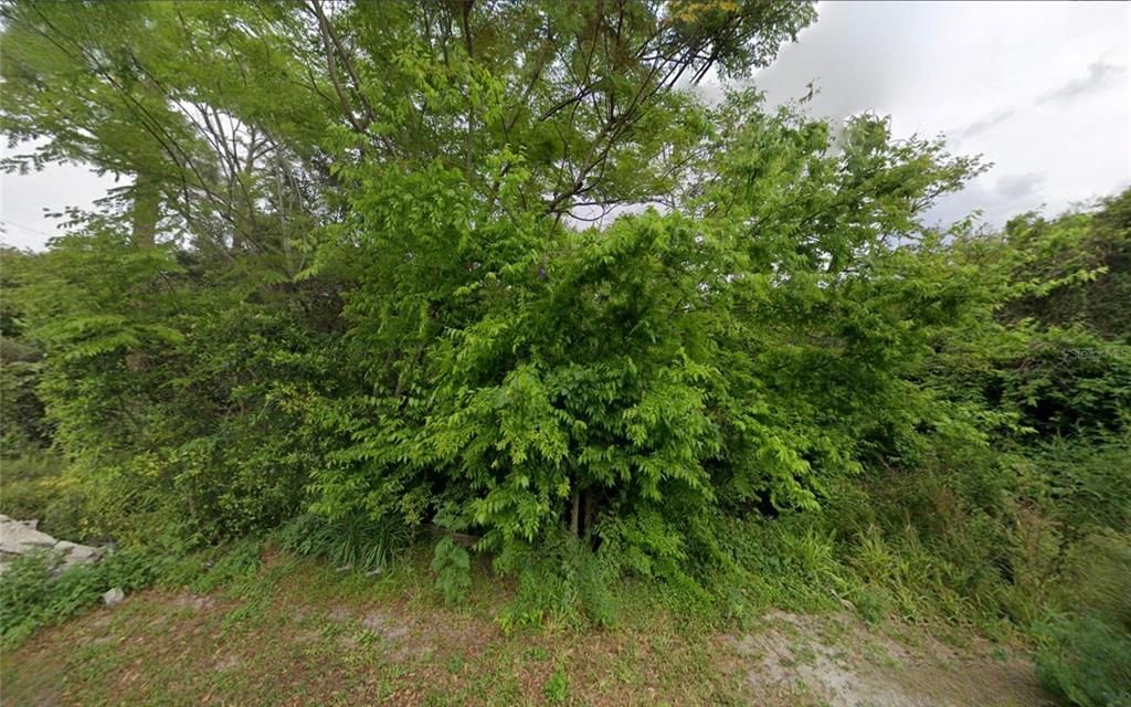 En Venta: $100,000 (0.77 acres)