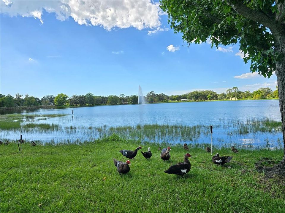 For Sale: $650,000 (5 beds, 3 baths, 2053 Square Feet)